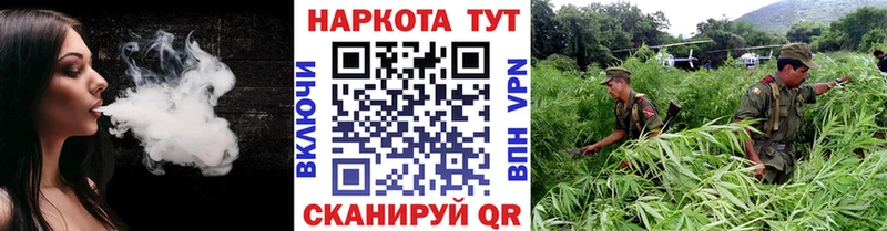 Где продают наркотики Новосиль A-PVP  АМФЕТАМИН  Cocaine  Мефедрон  ГАШИШ  Каннабис 