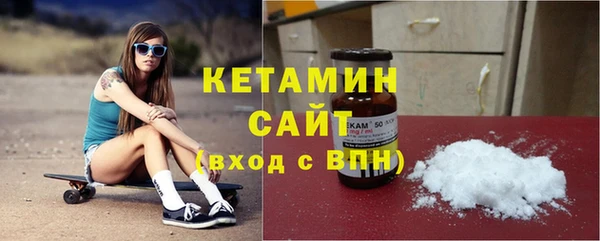 гашик Алексин