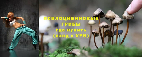 скорость Алзамай