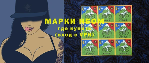гашик Алексин