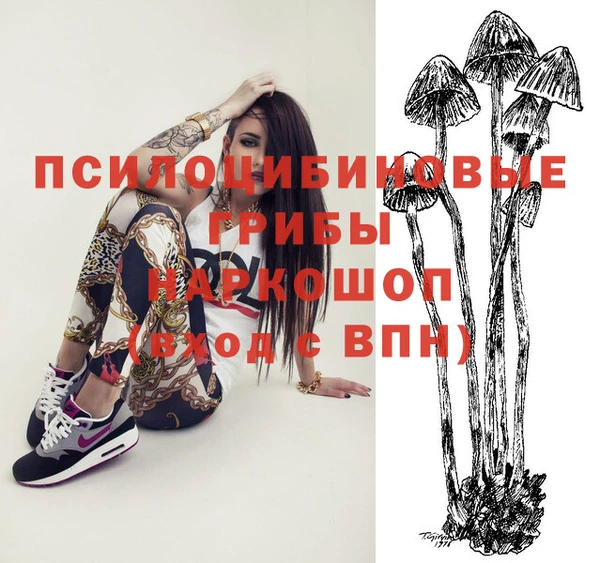 гашик Алексин
