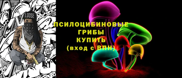 гашик Алексин