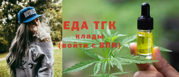 гашик Алексин