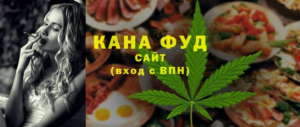 гашик Алексин