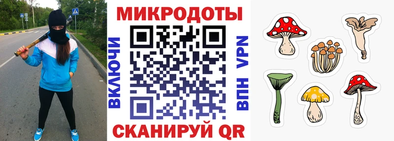 Галлюциногенные грибы Psilocybe omg сайт Новосиль